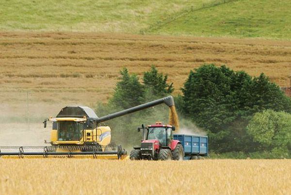 Agricultura, Pecuária e Pesca